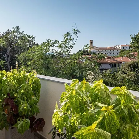 Guest house La 31 - Locazione Turistica *